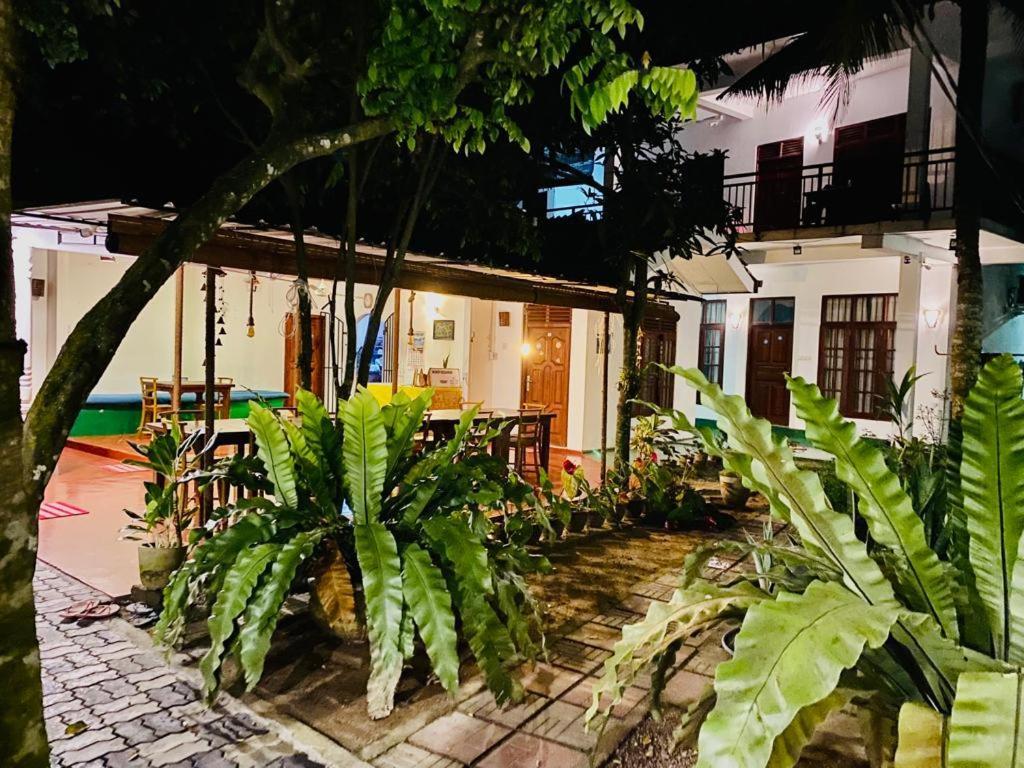 Gihan Guesthouse Mirissa Zewnętrze zdjęcie